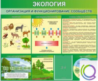 Стенд "Экология. Организация и функционирование сообществ" - «globural.ru» - Ангарск