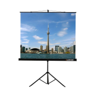 Проекционный экран на штативе Lumien Eco View (LEV-100105) 160x160 см - «globural.ru» - Ангарск