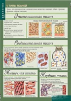 Биология 8-9 класс. Человек. (комплект таблиц) - «globural.ru» - Ангарск