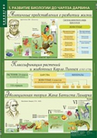 Биология 10-11 класс. Эволюционное учение (комплект таблиц) - «globural.ru» - Ангарск