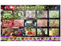 Комплект оборудования "Живой уголок" (растения) с тифлопереводом и сурдокомментариями - «globural.ru» - Ангарск