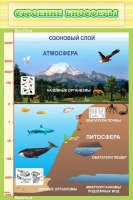 Стенд "Строение биосферы" - «globural.ru» - Ангарск