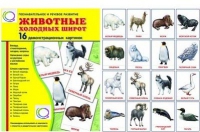 Демонстрационные карточки "Животные холодных широт" - «globural.ru» - Ангарск