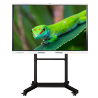 Интерактивный комплекс Geckotouch ​​​​​​​65RK - «globural.ru» - Ангарск