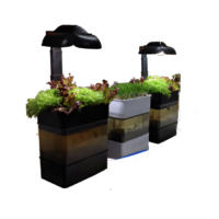 Учебная установка "Аквапоника"  - «globural.ru» - Ангарск