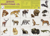 Раздаточные карточки "Дикие животные" часть 2 - «globural.ru» - Ангарск