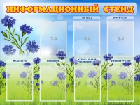 Стенд информационный с 7 карманами - «globural.ru» - Ангарск