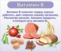 Стенд "Витамин В" - «globural.ru» - Ангарск