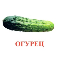 Карточки Домана "Овощи-Зелень-1" - «globural.ru» - Ангарск