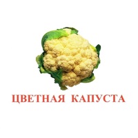 Карточки Домана "Овощи-Зелень-2" - «globural.ru» - Ангарск