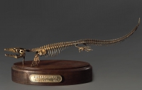 Модель скелета мозазавра Mosasaurus - «globural.ru» - Ангарск