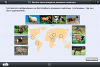 Интерактивные курсы. Биология 7 класс. Расширенный - «globural.ru» - Ангарск