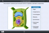 Интерактивные курсы. Биология 9 класс. Расширенный - «globural.ru» - Ангарск