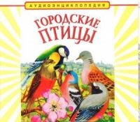 CD "Аудиоэнциклопедия. Городские птицы" - «globural.ru» - Ангарск