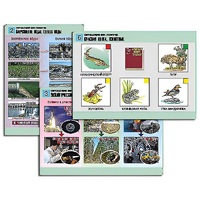 Комплект таблиц для  начальной школы "Окружающий мир. Экология" - «globural.ru» - Ангарск