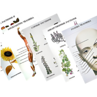 Таблицы по природоведению 1-3 класс - «globural.ru» - Ангарск