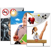 Модель-аппликация "Здоровье человека" - «globural.ru» - Ангарск