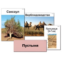 Модель-аппликация "Природные зоны России" - «globural.ru» - Ангарск