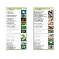 Комплект карточек (10) "Обучающий калейдоскоп. Природа" - «globural.ru» - Ангарск