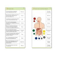 Комплект карточек (10) "Обучающий калейдоскоп. Человек" - «globural.ru» - Ангарск