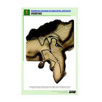 Рельефная таблица "Археоптерикс" (формат А1, матовое ламинир.) - «globural.ru» - Ангарск