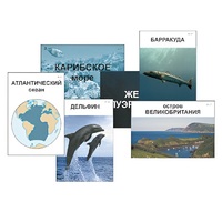Модель-аппликация "Океаны. Знакомство" (ламинированная) - «globural.ru» - Ангарск