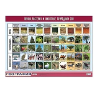 Таблица демонстрационная "Почвы, растения и животные природных зон" (винил 100x140) - «globural.ru» - Ангарск