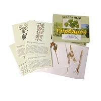 Гербарий "Систематика растений. Семейство Бобовые. Злаки" (раздаточный) - «globural.ru» - Ангарск