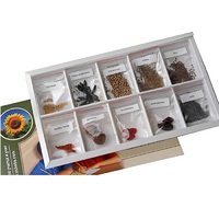 Коллекция "Плоды сельскохозяйственных растений" (вариант 2) - «globural.ru» - Ангарск