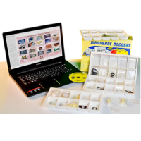 Коллекция натурально-интерактивная "Пластмассы" - «globural.ru» - Ангарск