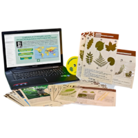 Гербарий натурально-интерактивный к курсу основ общей биологии - «globural.ru» - Ангарск