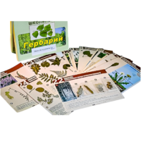 Гербарий к курсу основ общей биологии - «globural.ru» - Ангарск