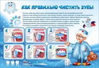 Стенд "Как правильно чистить зубы" - «globural.ru» - Ангарск