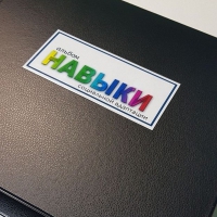 Навыки социальной адаптации. Развивающие пособие на липучках  - «globural.ru» - Ангарск