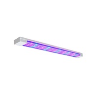 Фитолампа - «globural.ru» - Ангарск