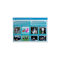 Стенд-планшет светодинамический «Изучение асептических и гнойных воспалительных процессов» - «globural.ru» - Ангарск