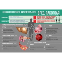 Стенд "Алкоголь" - «globural.ru» - Ангарск