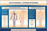 Электрифицированный стенд-тренажер "Остановка кровотечения" - «globural.ru» - Ангарск
