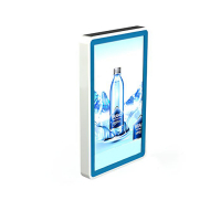 Видеопанель PROMO WALL 55 - «globural.ru» - Ангарск