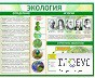 Стенд "Экология" - «globural.ru» - Ангарск