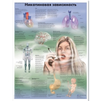 Плакат "Никотиновая зависимость", ламинированный, 50*67 см - «globural.ru» - Ангарск
