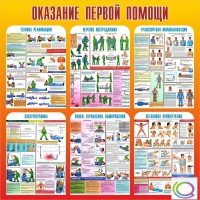 Стенд "Оказание первой помощи" - «globural.ru» - Ангарск