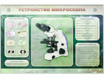 Электрифицированный стенд "Устройство микроскопа и правила работы c ним" - «globural.ru» - Ангарск