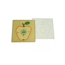 Части яблока с контуром - «globural.ru» - Ангарск