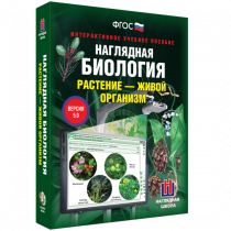 Наглядная биология. Растение - живой организм - «globural.ru» - Ангарск