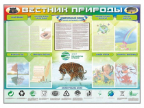 Стенд-уголок "Вестник природы" (вариант 1) - «globural.ru» - Ангарск