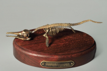 Модель скелета ихтиозавра Ichthyosaurus - «globural.ru» - Ангарск
