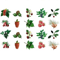 Комплект карточек. Серия наглядных пособий "Запоминай, играй, считай". Ягоды. - «globural.ru» - Ангарск