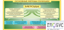 Стенд "Методы селекции и биотехнологии" - «globural.ru» - Ангарск