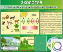 Стенд "Экология. Организация и функционирование сообществ" - «globural.ru» - Ангарск